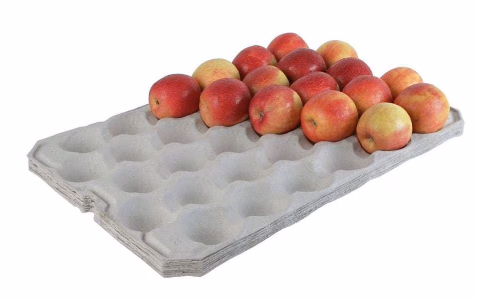 Apple Tray 🍎