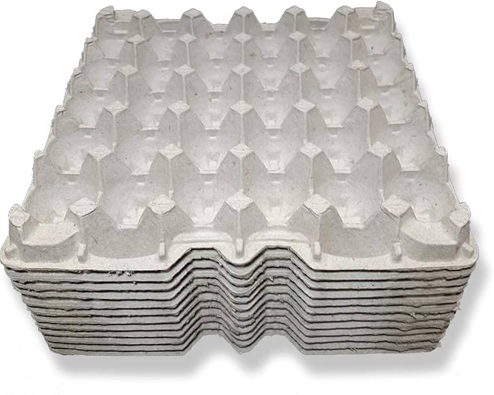 Egg Tray 🥚